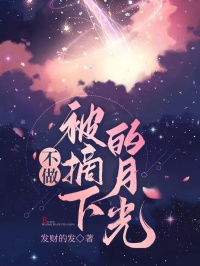 不做被摘下的月光江归远贺云灼免费阅读全文_免费完结版小说