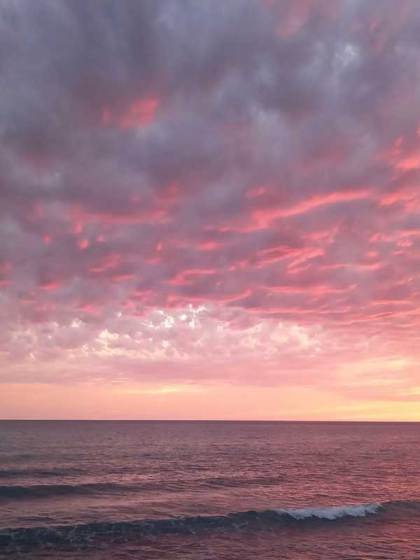 旧梦搁浅于时光苏禾陈哲完结热门小说_完整版小说全文免费阅读