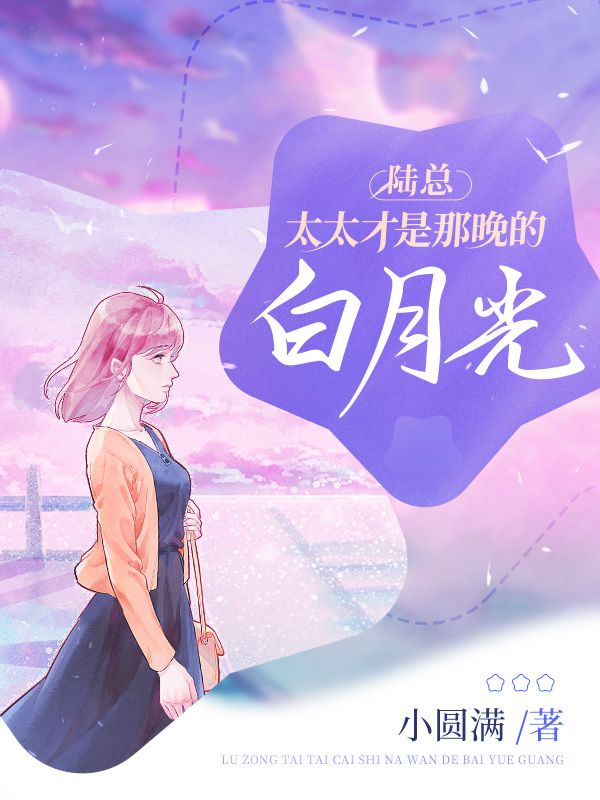 陆总，太太才是那晚的白月光(叶佳禾陆景墨)完结版小说推荐_最新完结小说推荐
