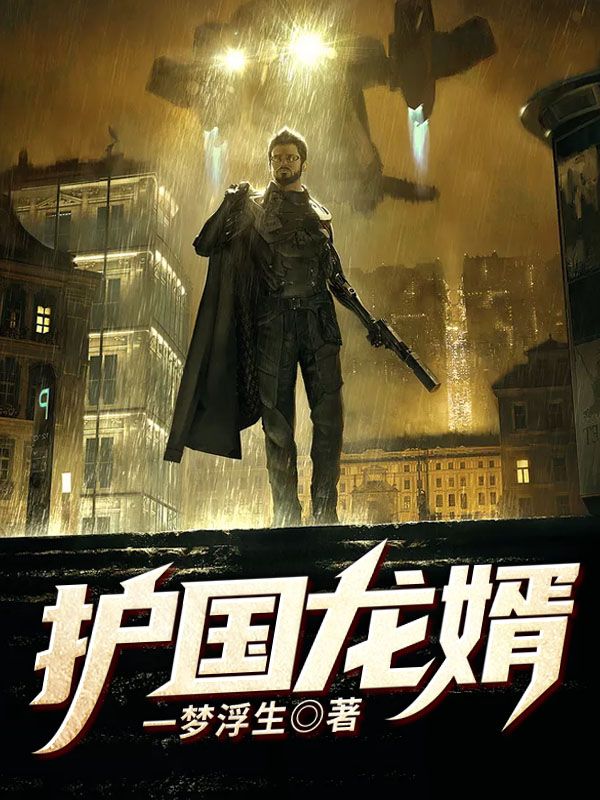 护国龙婿(萧战穆如雪)完结版小说推荐_最新完结小说推荐