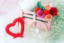 广州如果中考没考上怎么办才好