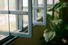 广东有学现代物流专业的大专学校吗