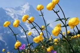 广州23岁读高职什么学校可以报名