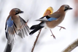 广州广东哪里有学工商管理专业