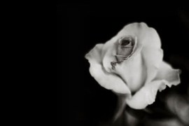 广州在哪可以读会计专业