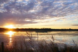 广州读技师学校有用吗