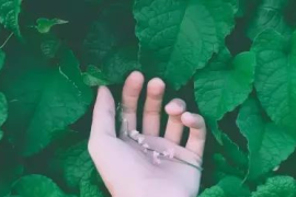 广州电子竞技专业在那学