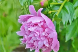 广州技校报名网