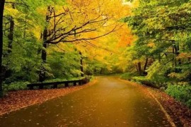 广州市场营销专业在哪学好一点