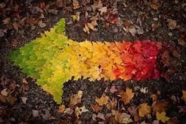 广东在哪能学商务外语专业