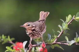 广州有工商管理专业的中技学校