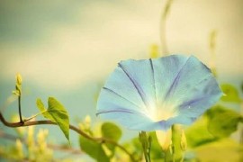 广州中专电竞专业哪里有读