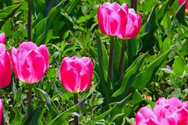 广东中专商务文秘专业学校哪里有