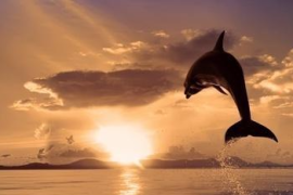 广东在哪可以学汉语言文学专业