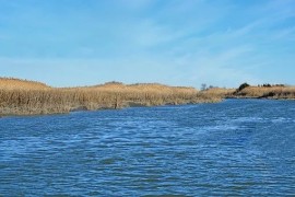 广州15岁小孩初中没毕业能读什么技校