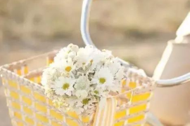 广州潜水学校2024招生简章