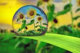 广州市花都区理工职业技术学校2024招生简章