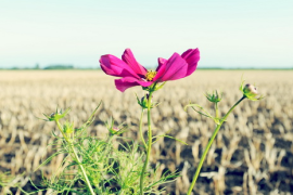 广州市财经商贸职业学校2024招生简章