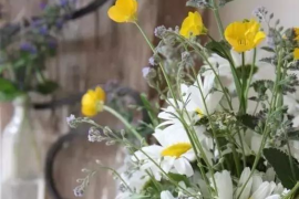 广东文艺职业学院(附设中职班)2024招生简章